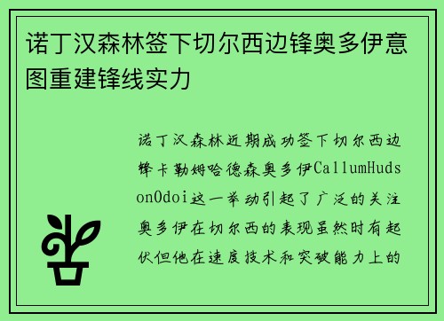 诺丁汉森林签下切尔西边锋奥多伊意图重建锋线实力 诺丁汉森林签下切尔西边锋奥多伊意图重建锋线实力